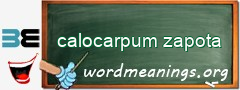 WordMeaning blackboard for calocarpum zapota